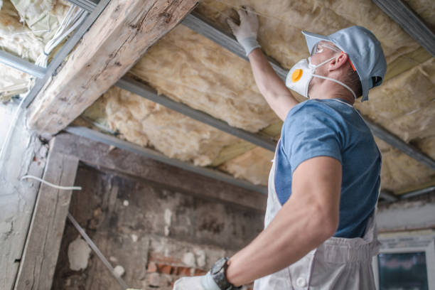 Best Insulation Maintenance and Repair in Flat Rock, MI