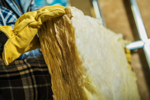 Best DIY Insulation Kits and Guidance in Flat Rock, MI