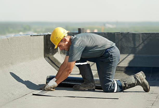 Best Cellulose Insulation in Flat Rock, MI